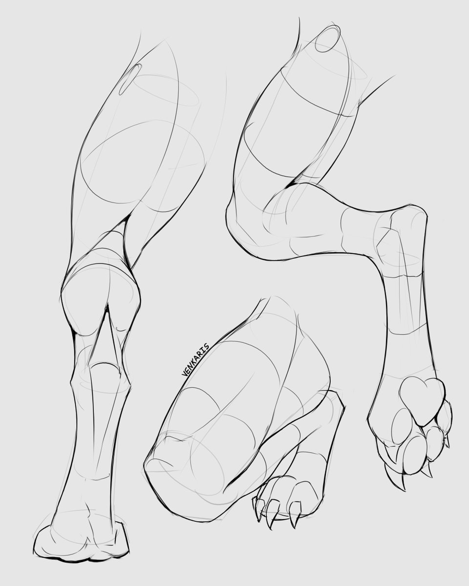 venkaris's tweet image. Leg study