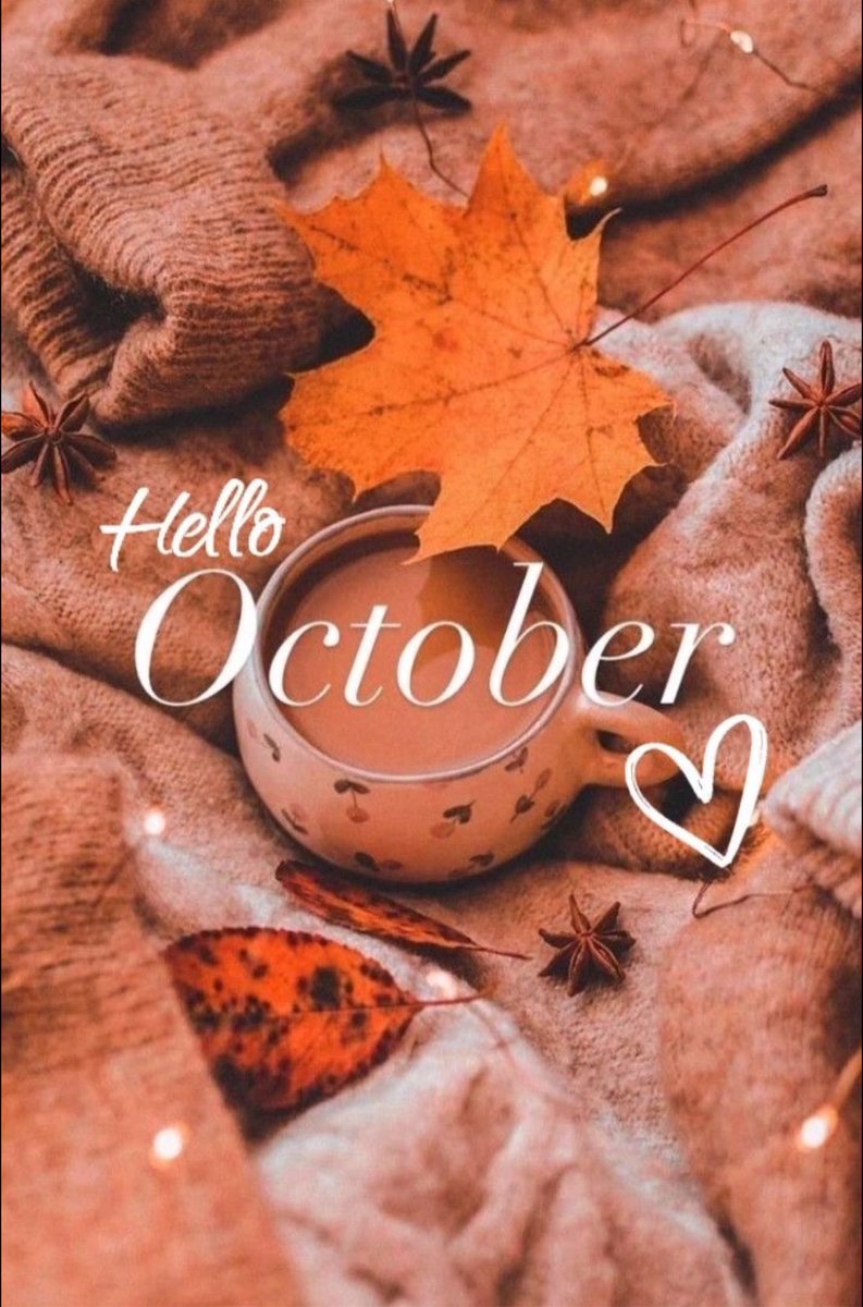 TheLadyT (parody fan account) (@ladytwells) on Twitter photo 