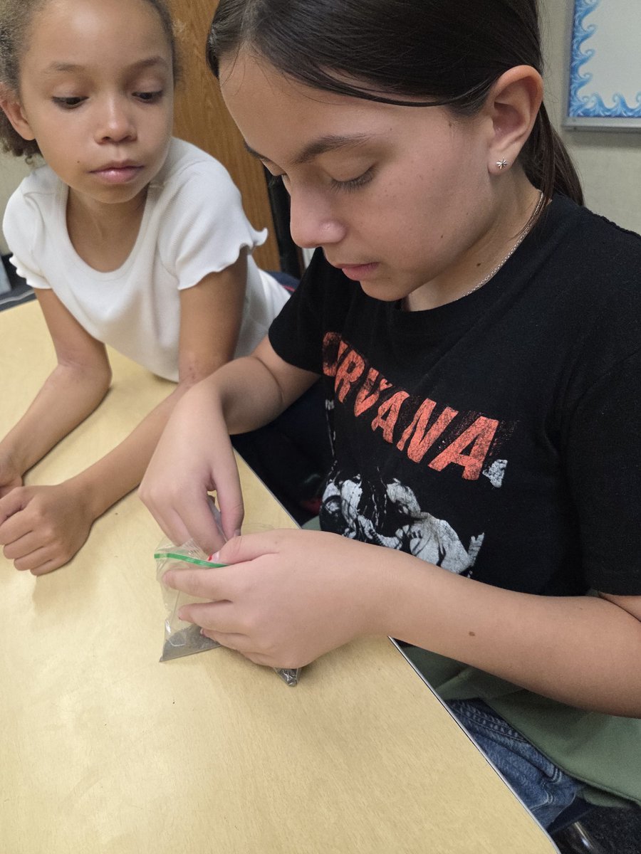 MonteVistaWCUSD's tweet photo. Our 5th graders are putting their scientist hats on in the lab! They explored how to measure solids and liquids, then tested how different substances dissolve or mix together. Hands on learning at its best—curiosity and discovery in action! 💛🖤 @WestCovinaUSD https://t.co/0hop6MQ1NJ