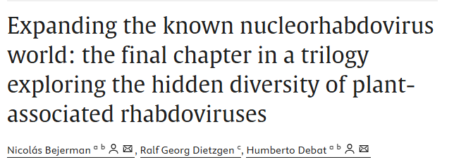 Humberto Debat tweet media