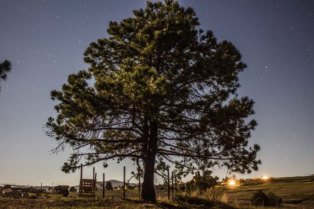 Dos amaneceres y un par de noches