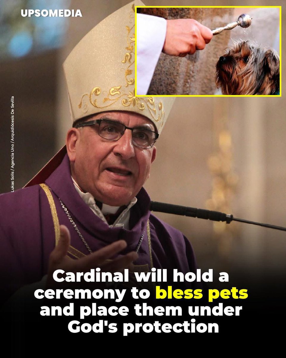 dominic dyer tweet media