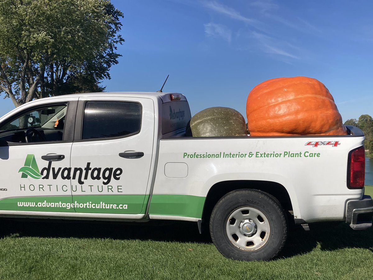 Wade Beaudoin tweet media