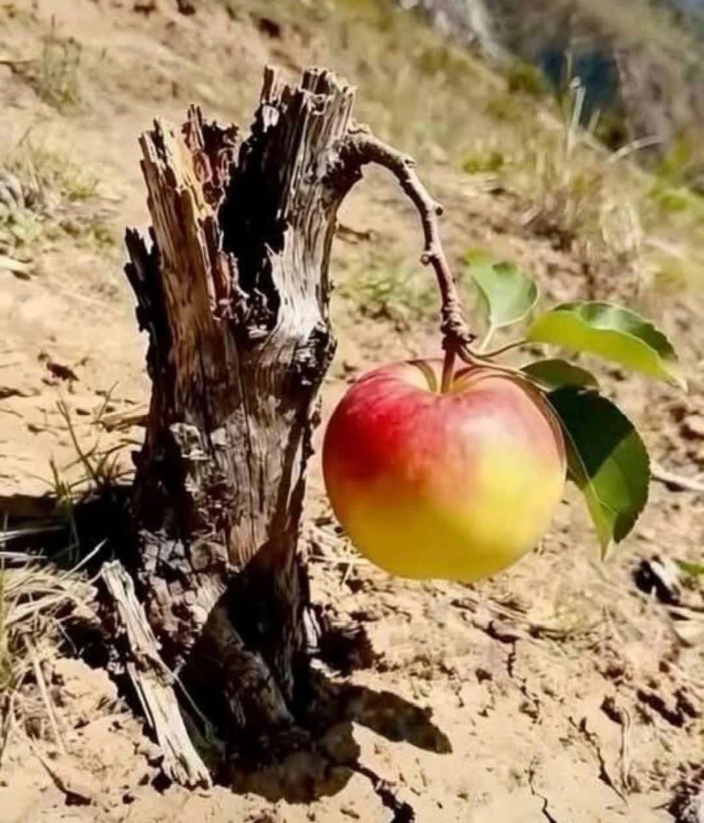 looP_rM (@m08c790093847) on Twitter photo 