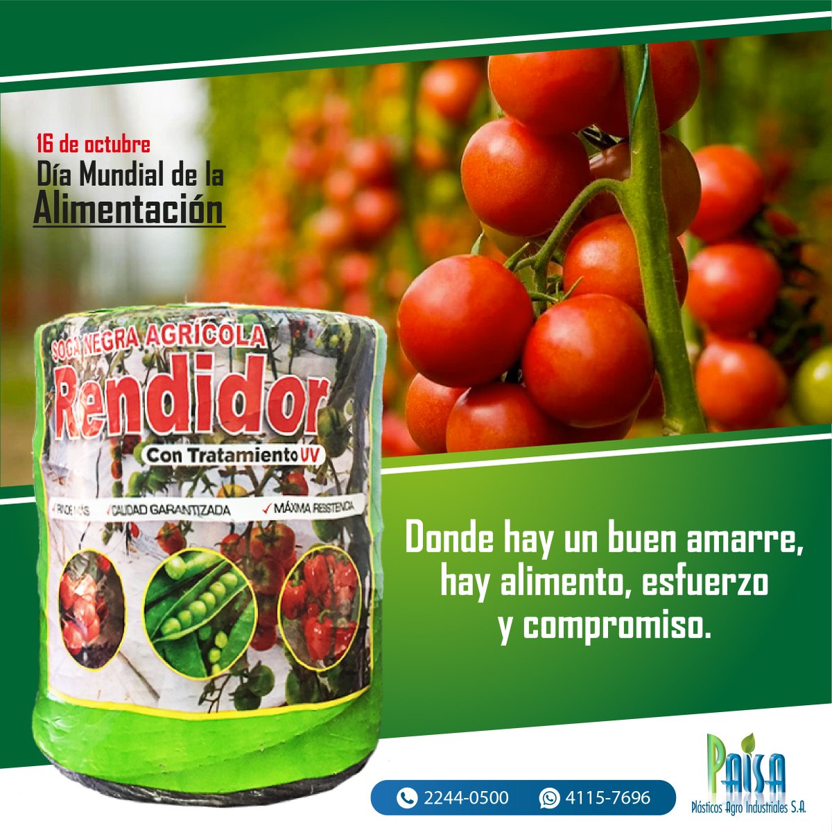 Paisaplasticos's tweet photo. En el Día Mundial de la Alimentación, celebramos el valor de cada proceso que hace posible llevar comida a la mesa. Desde el campo hasta el hogar, cada amarre cuenta. 🌾

#DíaMundialDeLaAlimentación #sogadeamarre #soganegra #BuenAmarreBuenAlimento https://t.co/r4eNW7YbKO