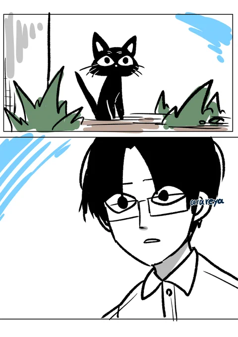 お互いに「似てるな」って思ってる猫とよっちゃん 