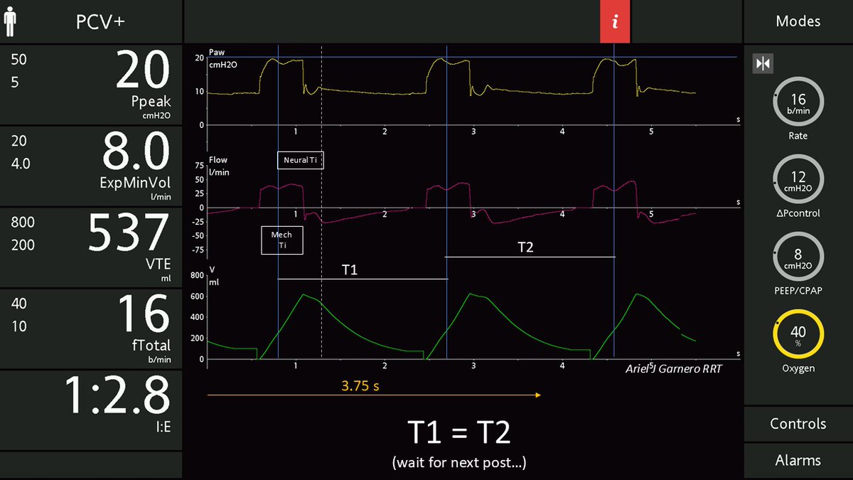 Ariel J Garnero tweet media