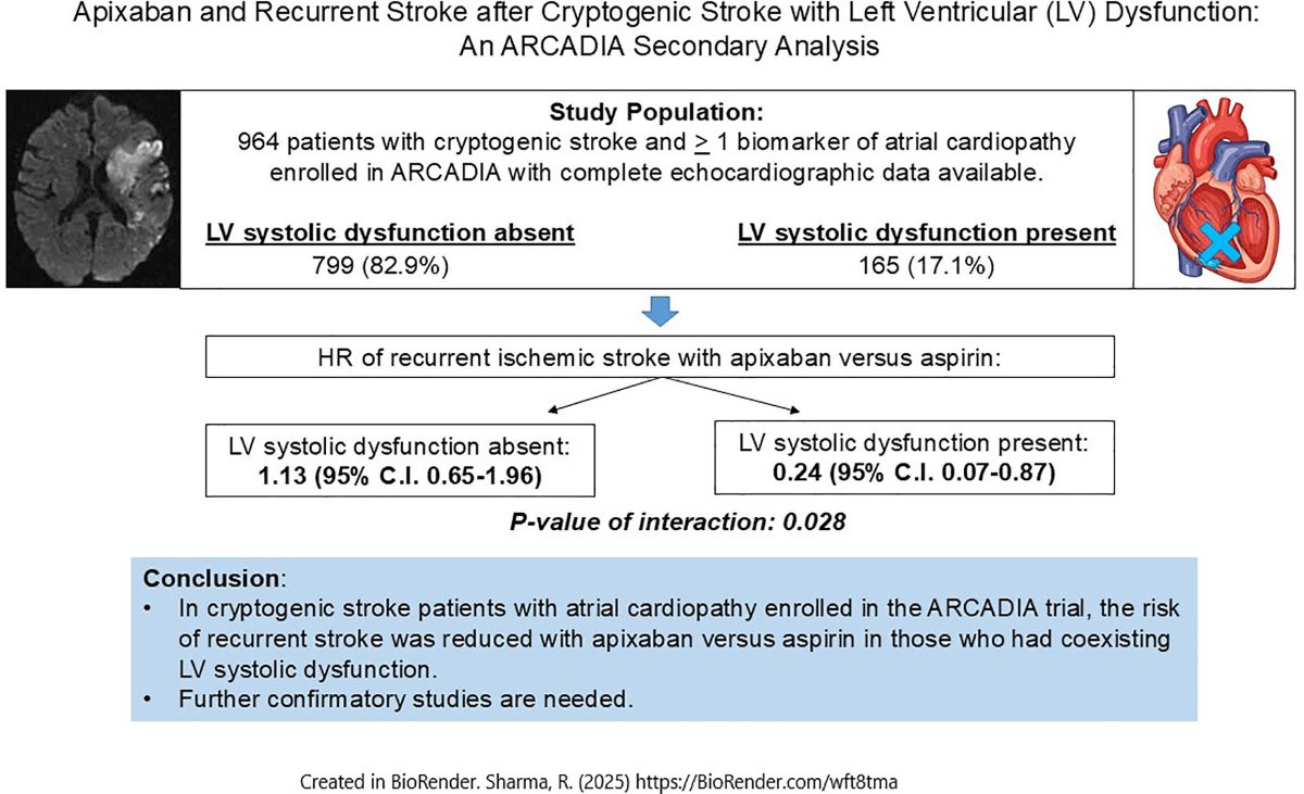 Stroke AHA/ASA (@strokeaha_asa) on Twitter photo #STROKE: In a secondary analysis of ARCADIA, randomization to apixaban was associated with a lower risk of recurrent ischemic stroke than aspirin in patients with left ventricular systolic dysfunction. <a href="/MitchElkind/">Mitchell Elkind</a> <a href="/hoomankamel/">Hooman Kamel</a> <a href="/ShadiYaghi2/">Shadi Yaghi</a> #AHAJournals ahajrnls.org/42Qu1bM #STROKE: In a secondary analysis of ARCADIA, randomization to apixaban was associated with a lower risk of recurrent ischemic stroke than aspirin in patients with left ventricular systolic dysfunction. <a href="/MitchElkind/">Mitchell Elkind</a> <a href="/hoomankamel/">Hooman Kamel</a> <a href="/ShadiYaghi2/">Shadi Yaghi</a> #AHAJournals ahajrnls.org/42Qu1bM
