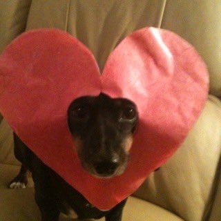 PARKsa_UZ's tweet image. 안녕하세요 
사실 오늘 저의 생일입니다 
우주메와 함께하는 생일 감사합니다