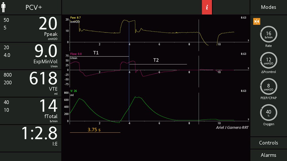 Ariel J Garnero tweet media
