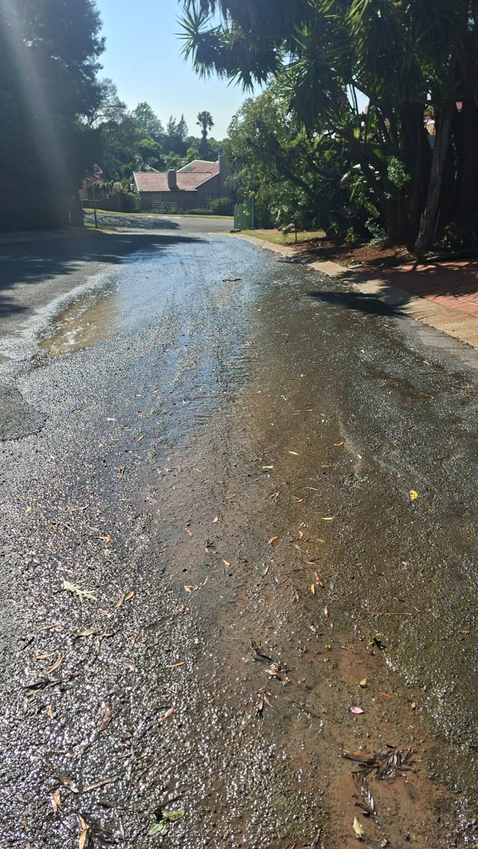 stefano madies tweet media