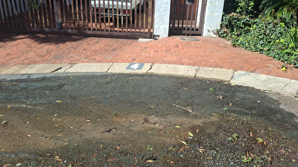 stefano madies tweet media