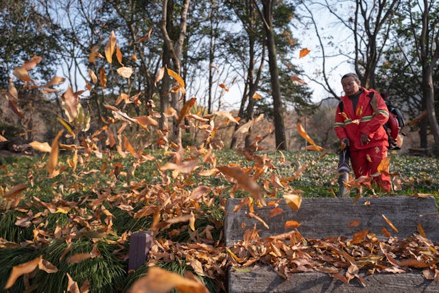 Eniscleaning's tweet photo. Its Fall Cleanup season!   The leaves are starting to turn color and soon the yard will be covered.  Let Enis Cleaning help you with the yard cleanup.  Our professional crew will take care of your property. https://t.co/5XVkvOOzBv 617-767-3120 https://t.co/WGoXJtTEJq