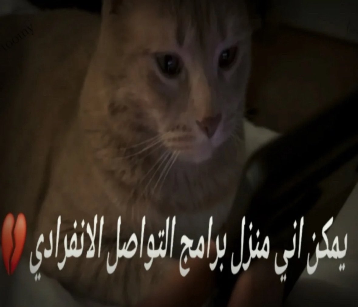 Naf (@ia18t) on Twitter photo 