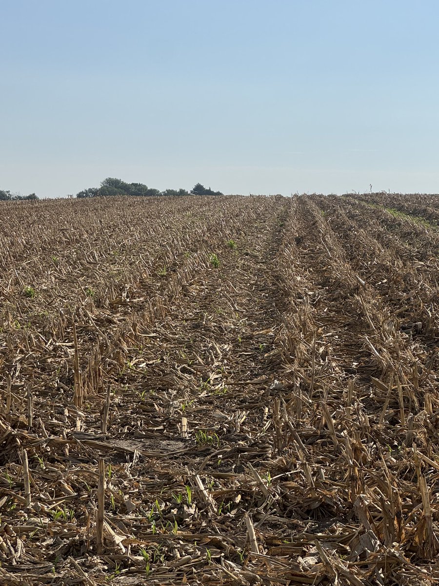 According to a recent Iowa State study, crop residue holds 70# of Nitrogen, 20# of Phosphorus and 140# of Potassium.  Have you made a plan on how to maximize your residue to help and not hinder your next crop?
Comment below with your current plan.