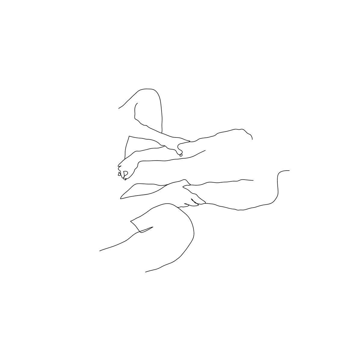 One Line Artist tweet media