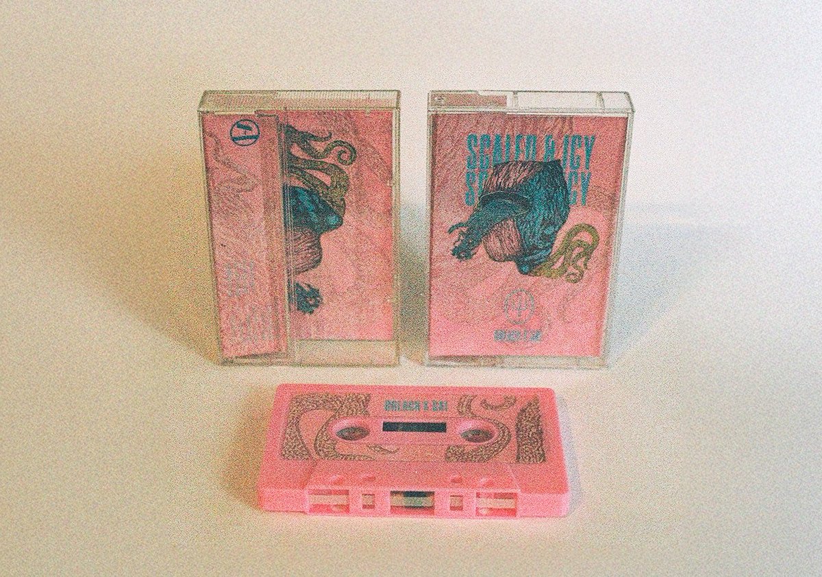 demanecromancer's tweet image. Hi! I want to share with you my cassette design. I made it only for display purposes, there’s no music on it, but the tape itself works. I have a few copies for sale for 25 PLN/6 EUR, which only covers the cost of materials and printing. If you’re interested, feel free to DM me🖤