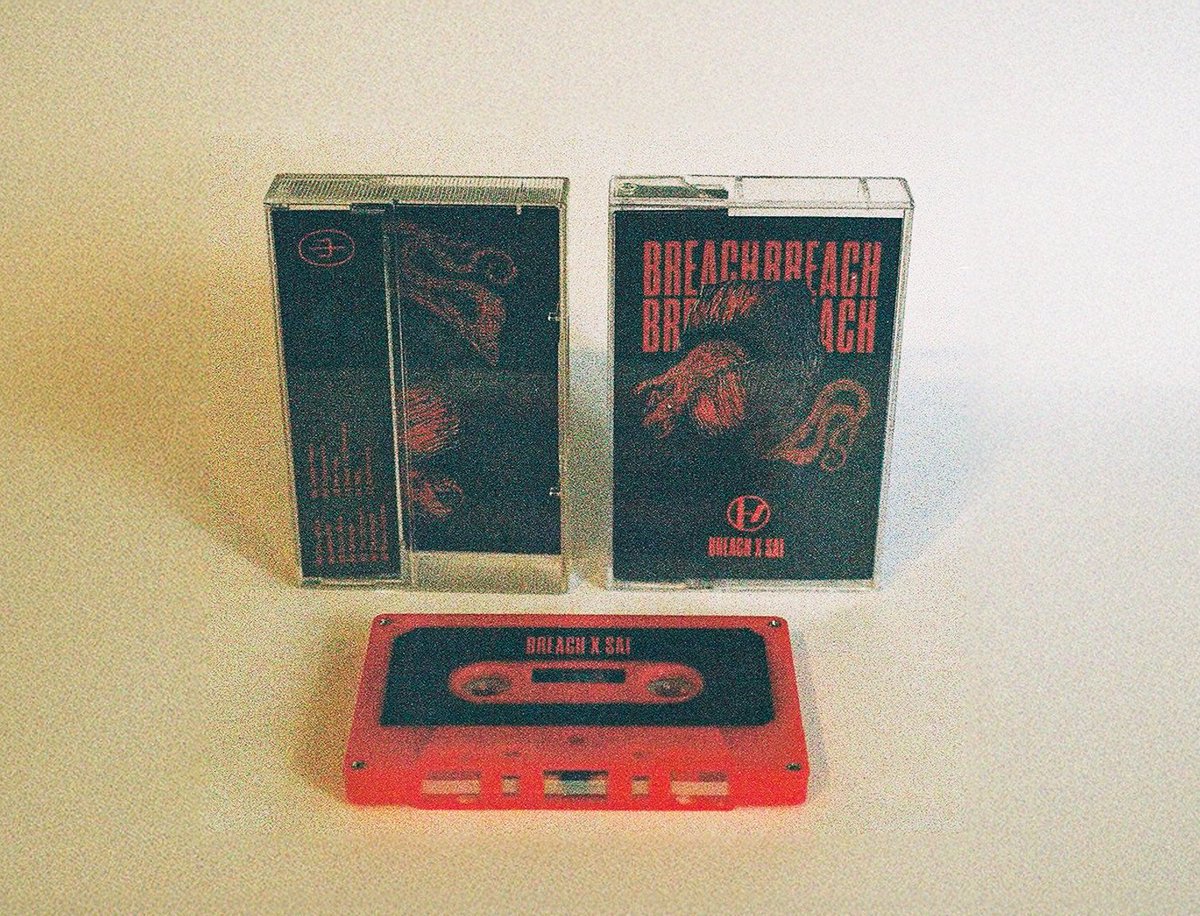 demanecromancer's tweet image. Hi! I want to share with you my cassette design. I made it only for display purposes, there’s no music on it, but the tape itself works. I have a few copies for sale for 25 PLN/6 EUR, which only covers the cost of materials and printing. If you’re interested, feel free to DM me🖤