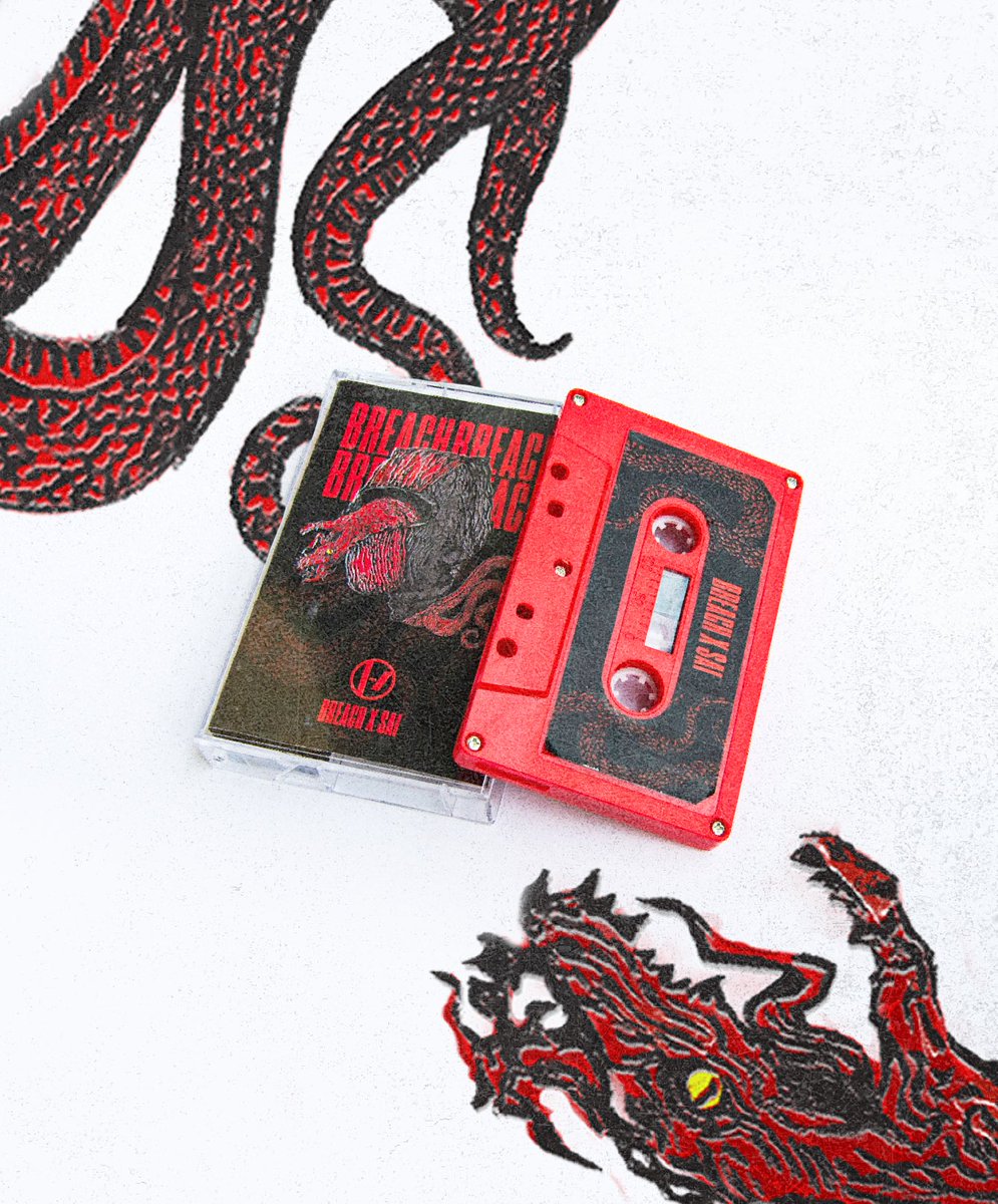 demanecromancer's tweet image. Hi! I want to share with you my cassette design. I made it only for display purposes, there’s no music on it, but the tape itself works. I have a few copies for sale for 25 PLN/6 EUR, which only covers the cost of materials and printing. If you’re interested, feel free to DM me🖤