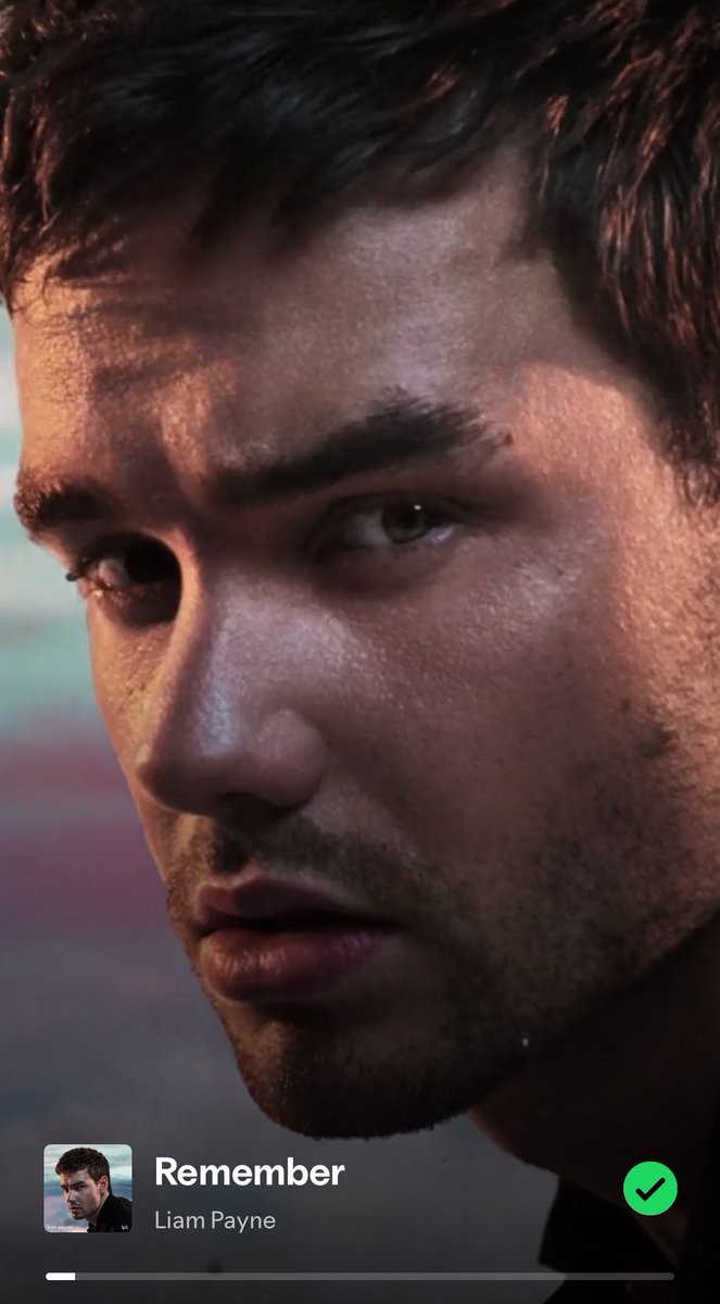 Ls28_Zp25's tweet image. Day 1 - Stream Remember❤️How can I forget someone who gave me so much to remember❤️‍🩹I miss you so much angel🪽
#StreamRemember #StreamLiamPayne #LiamPayneForever #RememberingLiam  #WeLoveYouLiam