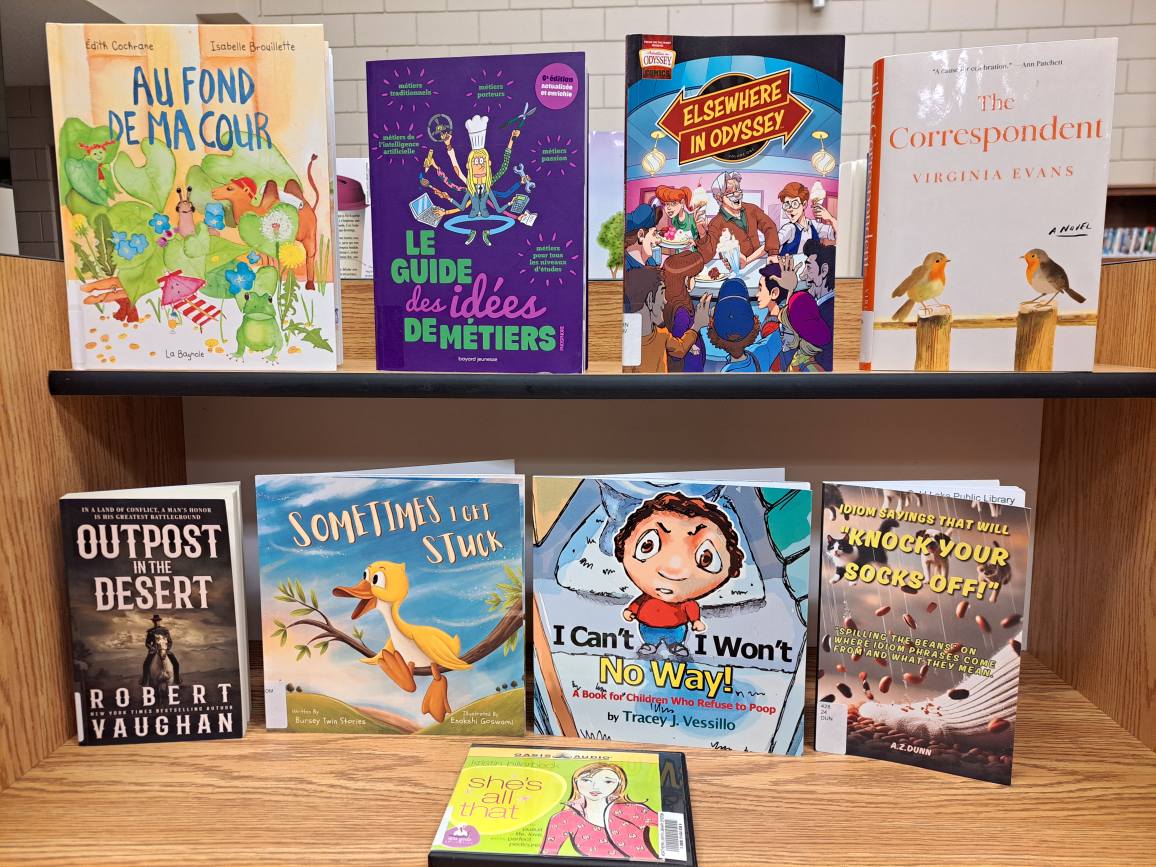 CLPublicLibrary's tweet image. Some new books at South Branch