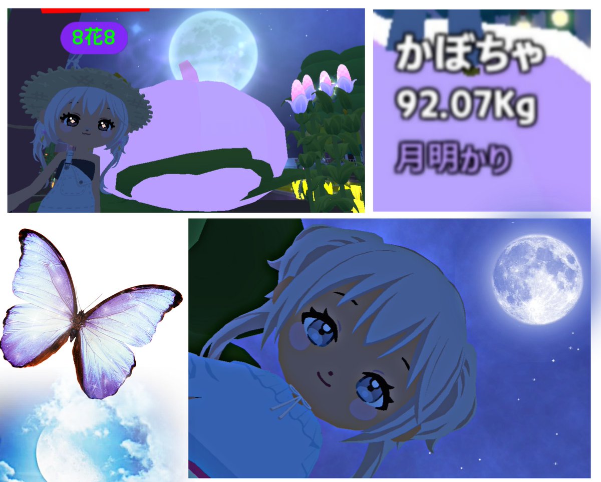 himawari_ch_'s tweet photo. わー！💜今ノーマルだったカボチャが
突然紫になりました😂😍
このまま感電もして🩷×💜になってほしいな😍🌸そして結構大きいです！！
#一緒に遊ぼう #PlayTogether #プレトゥ https://t.co/scnb1SmyqU