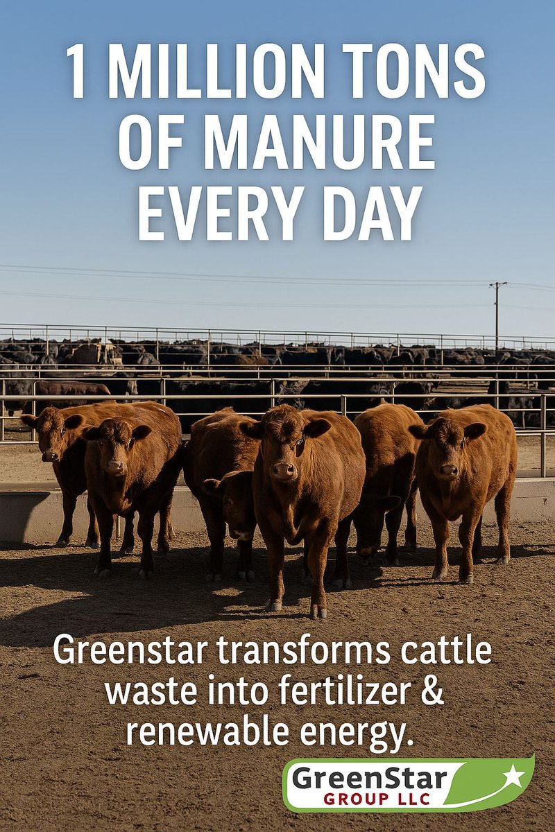 group_greenstar's tweet image. Beef &amp;amp; dairy cattle produce nearly 1 million tons of manure every day. Greenstar solutions recover nutrients, reduce methane, &amp;amp; build healthier soils. Follow us for more solutions. #Greenstar#Beef #Dairy #ManureManagement #MethaneReduction #BeefStrong #NCBA #USBeef #Farm365