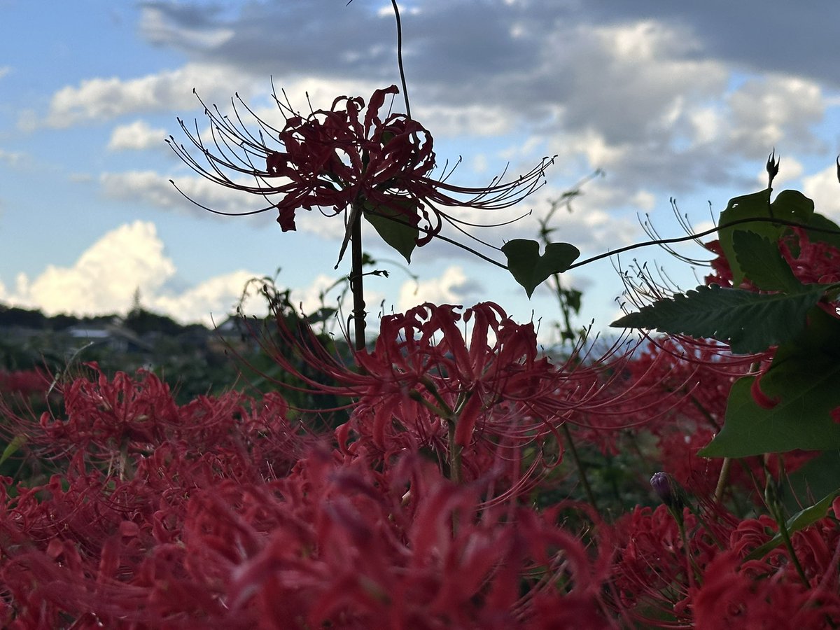 今日のお気にたち🫶🫶✨️
安定のノー加工で失礼しますｯｯ