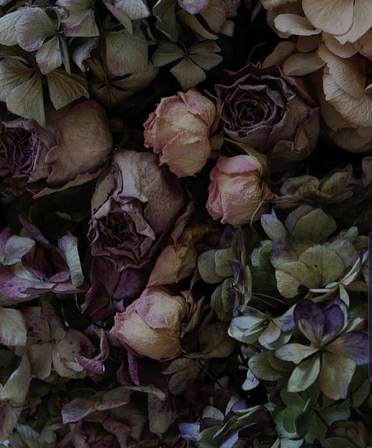 beananee's tweet image. i still can’t believe it took me over an year to get back to orah, but it’s finally here 🥹🫶🏻 to anyone who still waiting for this update, tysm for your patience and support!! 

Of Raptors and Hares coming this saturday 🩵

#eremika #fanfiction #wip