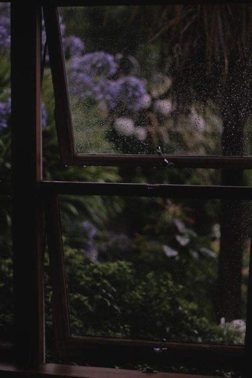 beananee's tweet image. i still can’t believe it took me over an year to get back to orah, but it’s finally here 🥹🫶🏻 to anyone who still waiting for this update, tysm for your patience and support!! 

Of Raptors and Hares coming this saturday 🩵

#eremika #fanfiction #wip