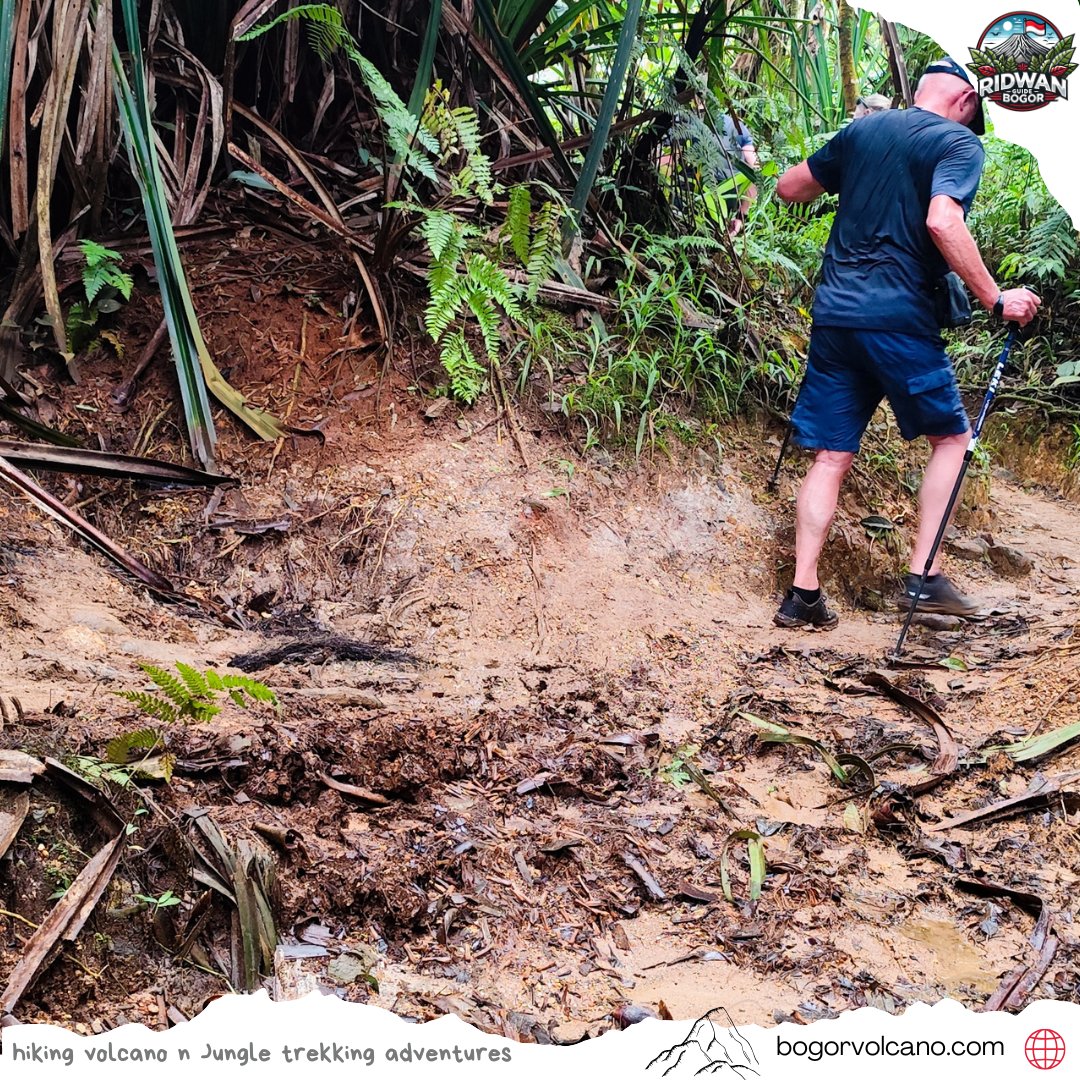 GuideRidwan's tweet photo. From Mount Salak’s crater to jungle waterfalls, our guest from the Netherlands discovered a new side of happiness with Ridwan Guide’s adventure team. 

https://t.co/2UPy1XXr6N

#NetherlandsTravel #DutchTravelers #BackpackersNetherlands #SoloTravelNetherlands #DutchBackpacker https://t.co/pp8u9ueaLo