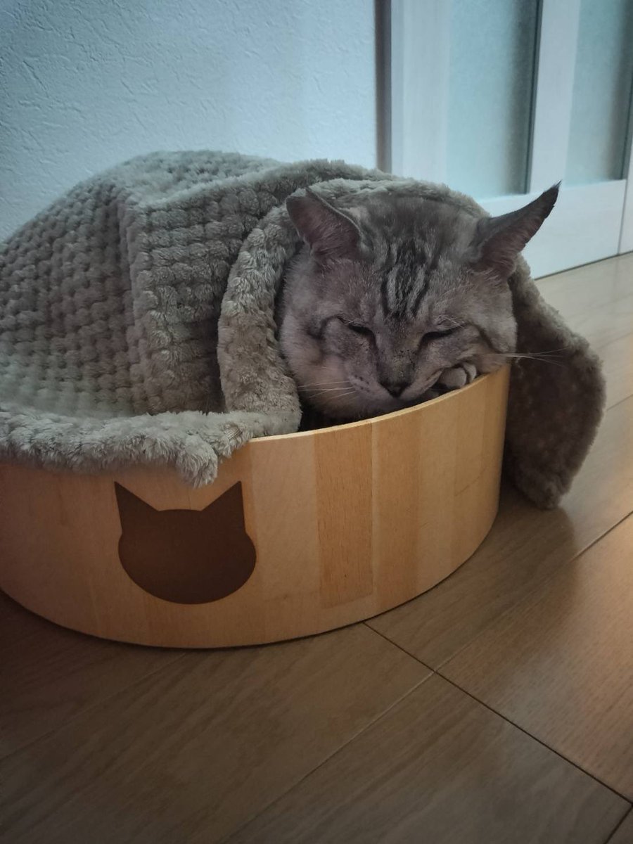 mag_piece's tweet photo. もう寒いらしい🥶 https://t.co/P9jIr2G3O5