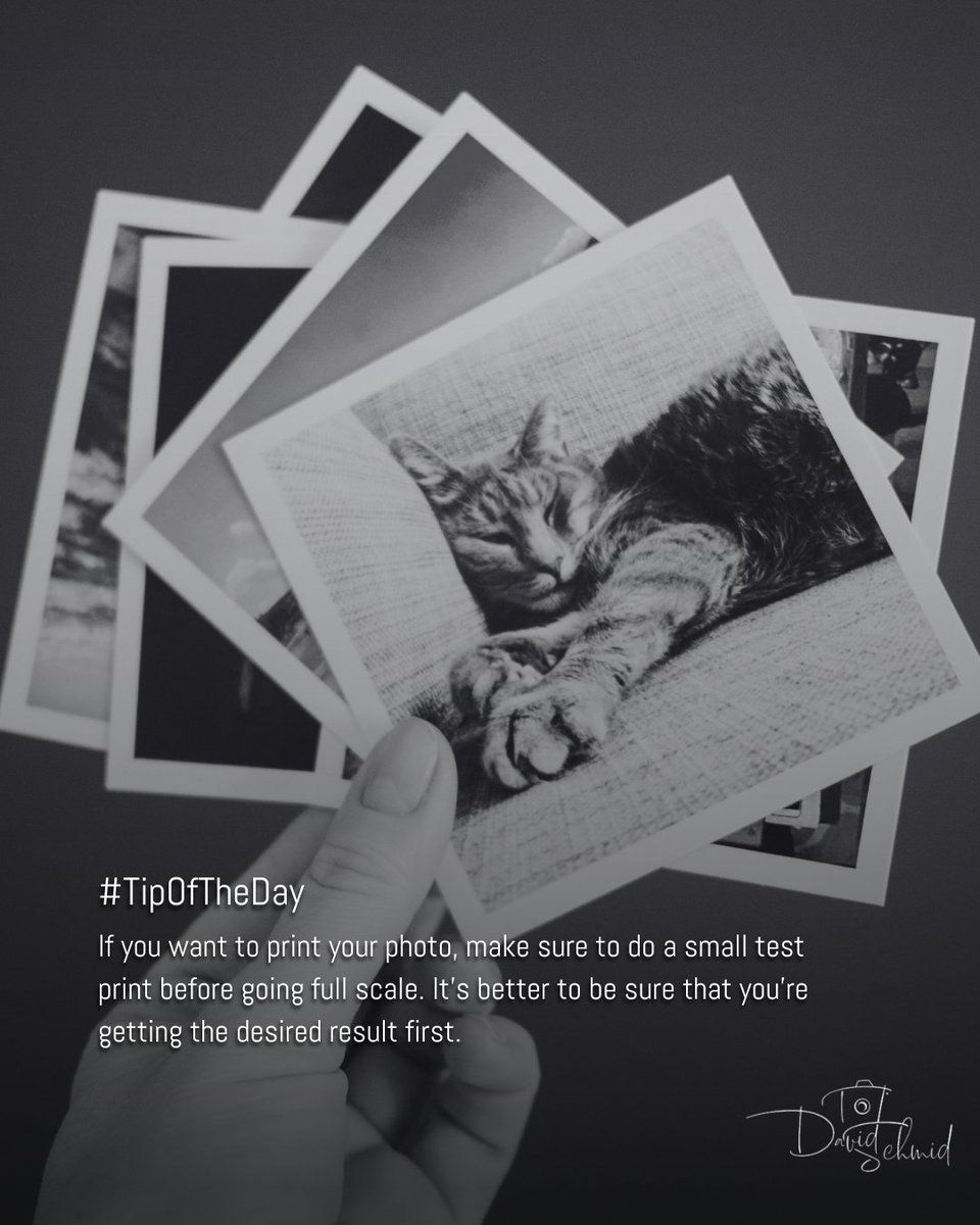 dschmidphoto's tweet photo. Doing a small test saves you time, money, and disappointment, and lets you see how tones and contrast translate to paper. πΈ
#PrintPrep #PhotographyHacks #TestBeforeYouPrint https://t.co/Ag3NTQ82oS