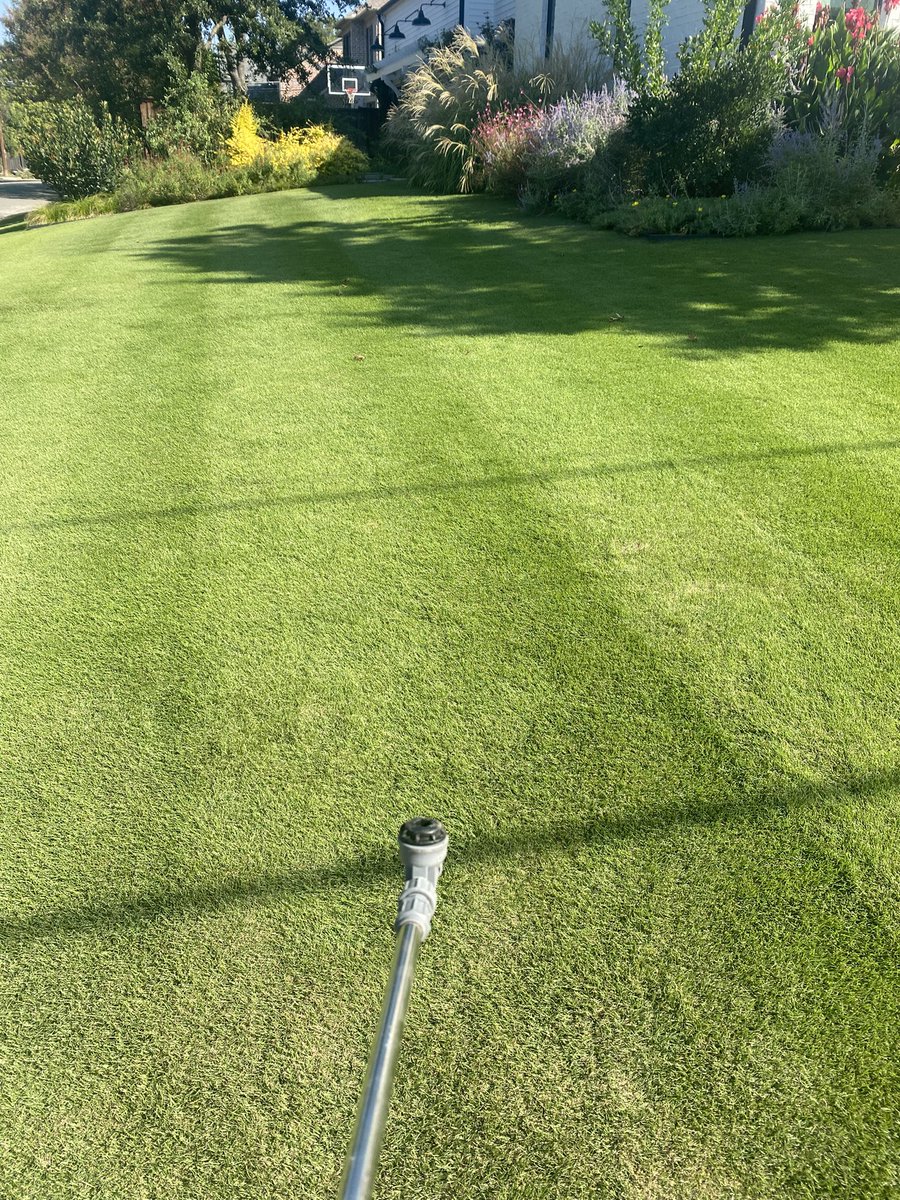 Victory_Turf's tweet image. Chasing a few pieces of Bermuda with fusilade/ recognition. The zeon is doing great this year. We dethatched and topdressed heavily late spring and there is no sign of sand!