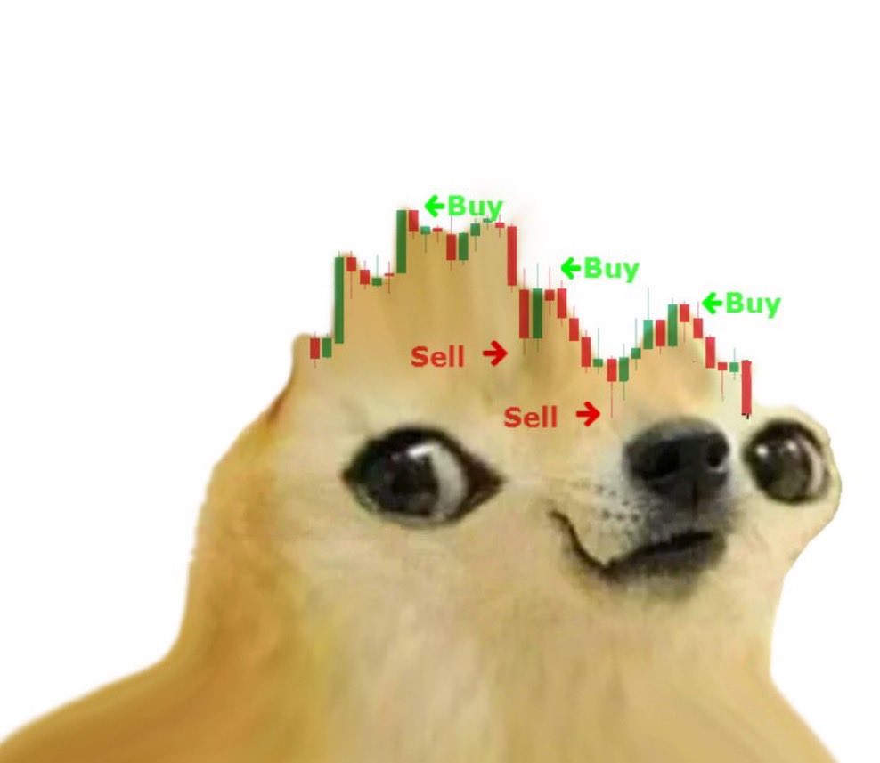 doegcoinsol's tweet image. doeg iz chadoor