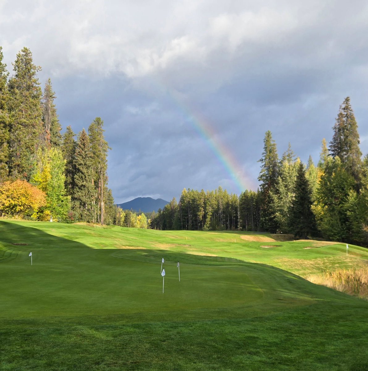 A stunning start to the day here at Trickle Creek! 

Big thanks to Victoria, our incredible gardener, for snapping this beautiful moment.

#TrickleCreekGolf #MyKimberley
