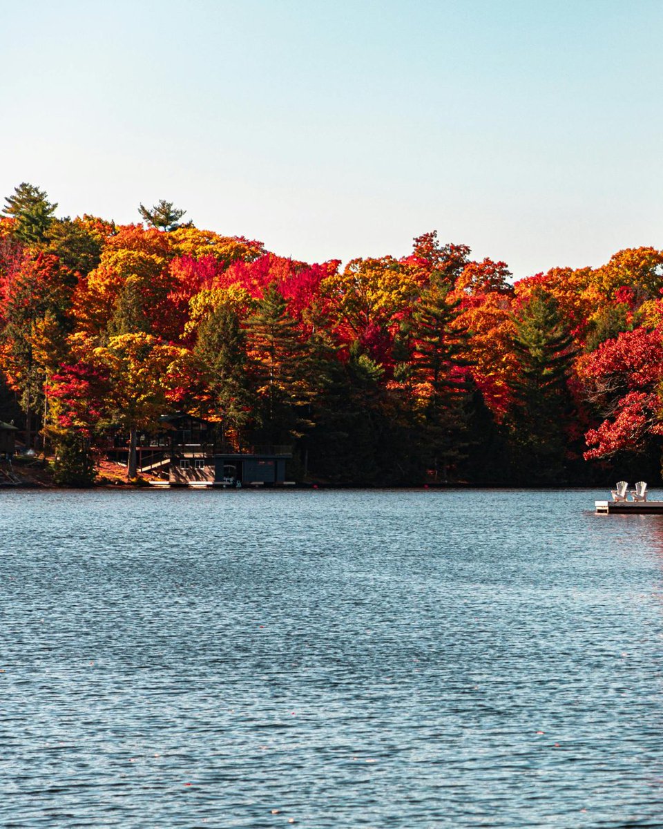 PharoMarineInc's tweet image. 🍂 October’s here—time to chase those golden lake views. Cruise by blazing reds and ambers while the water glows under autumn skies. 

Share your favorite fall boating views with us in the comments!📸

#FallBoating #LakeLifeWI #PharoMarine #AutumnOnTheWater