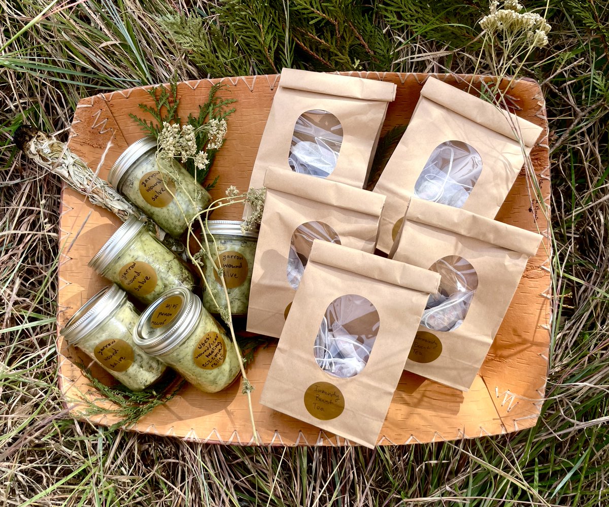epni_urbanfarm's tweet photo. EPNI’s Farm Steward and Plant Scientist, Forest Hunt (Turtle Mountain Ojibwe), has been hard at work to create indigenous medicinal products for the East Phillips neighborhood. Combining cultural knowledge and plant science, a lot of work and research goes into each product. https://t.co/jdbArKswHL