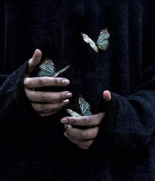 Mehmet Doğan tweet media