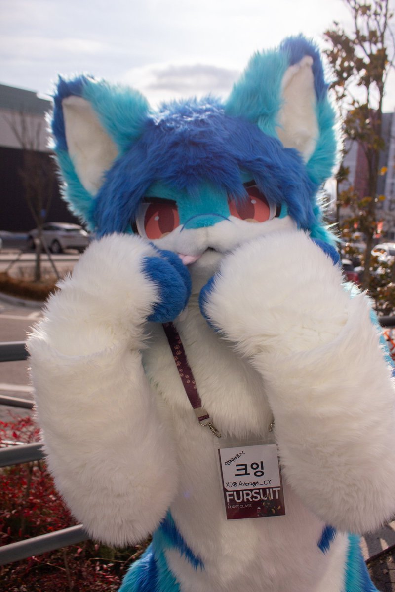 치야🌟(크잉🦈)🔜퍼클(서울) tweet media