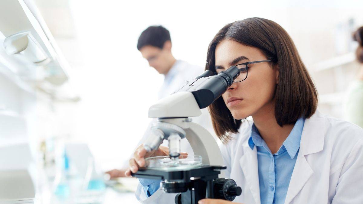 SaluDigital_CS's tweet image. 🦠Un estudio reveló cómo las polimixinas, antibióticos de último recurso, logran destruir la "armadura" de bacterias resistentes como la #EColi

🔬 Un avance clave en la lucha contra infecciones graves

consalud.es/saludigital/in…