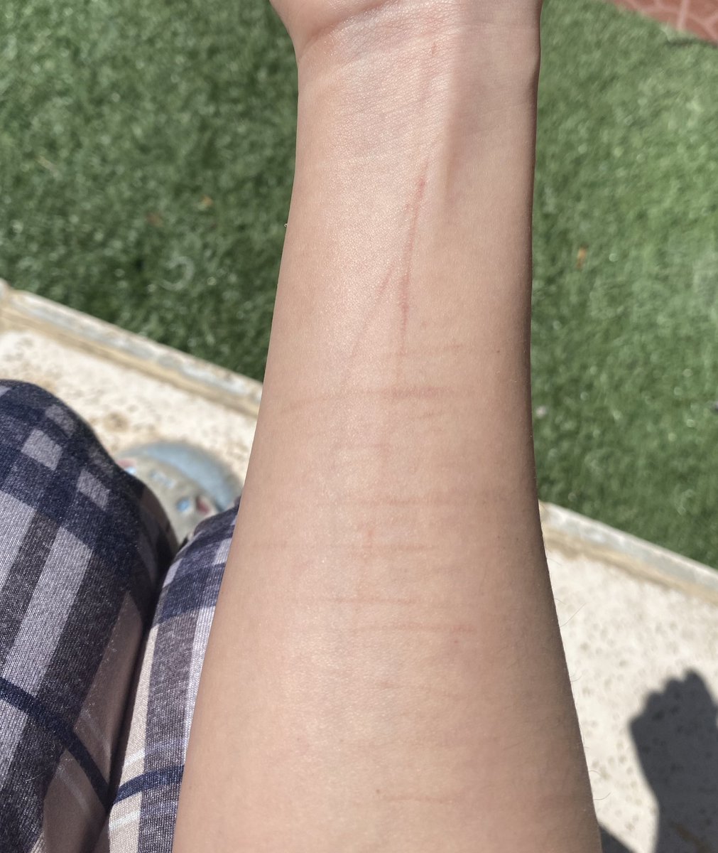 reira ୨ৎ trying to recover tweet media