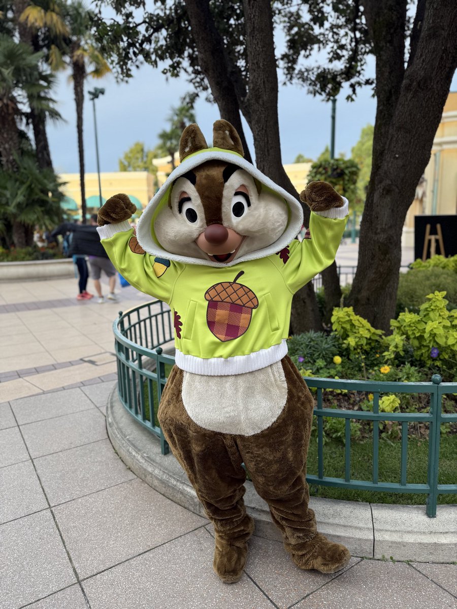 DisneyWorldJp's tweet image. 🆕ウォルトディズニースタジオにて”ディズニーアドベンチャーワールド”コスチュームのチップとデール登場✨