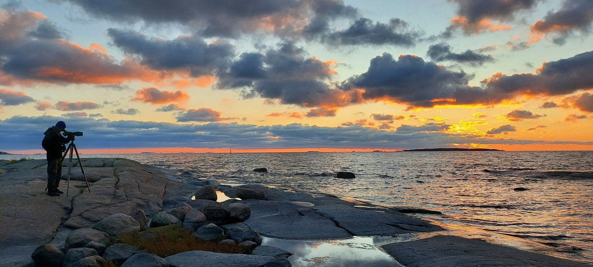 Syyslomasuosituksia saaristokohteita etsiville: Kotkan Haapasaari. Maksuton yhteysalusliikenne, majoitus saaren entisellä koululla, kauppakin löytyy. Idyllinen kylä eikä maisemissakaan valittamista. #visitkotka