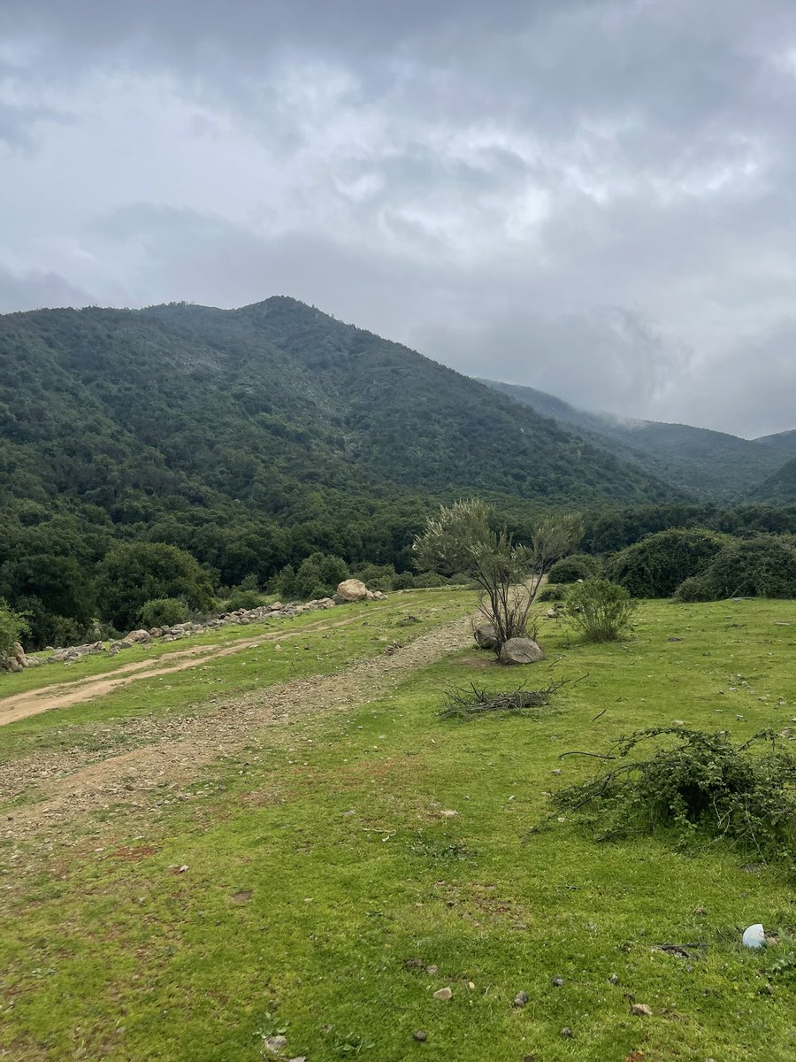 PedroManue57973's tweet photo. Alguna parejita para que vallamos al cerdito a ver la naturaleza?🥵🥵
#sanfernando #sextaregion #libertador #swinger #bull #single https://t.co/pYZsRc9q5t