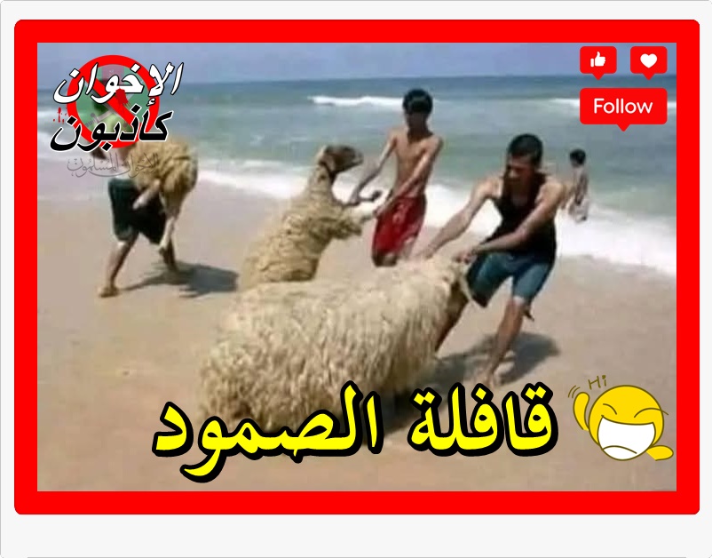 😅
 #قافله_الصمود