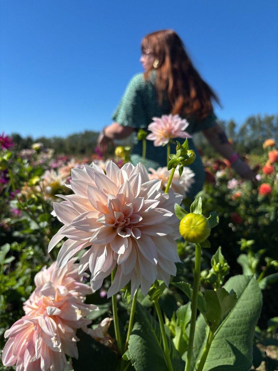 RobinsAppleby's tweet image. Our Robins Appleby team enjoyed a beautiful fall day at Andrews Scenic Acres—pumpkins, vineyards, BBQ, and great time with colleagues and families.

#RobinsAppleby #TeamOuting #FallFun #CompanyCulture #PumpkinPatch