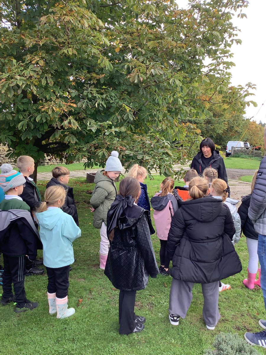 MrMcCabe62's tweet photo. Class 3JM enjoyed their visit to Broomhouse Farm where they learned about a working farm and how the animals are reared and how food is produced #WorkHard https://t.co/VEsH442A1i