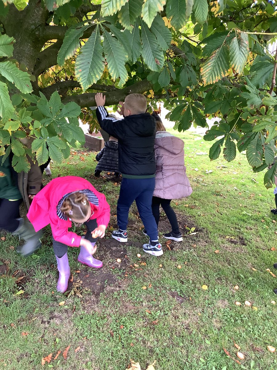 MrMcCabe62's tweet photo. Class 3JM enjoyed their visit to Broomhouse Farm where they learned about a working farm and how the animals are reared and how food is produced #WorkHard https://t.co/VEsH442A1i