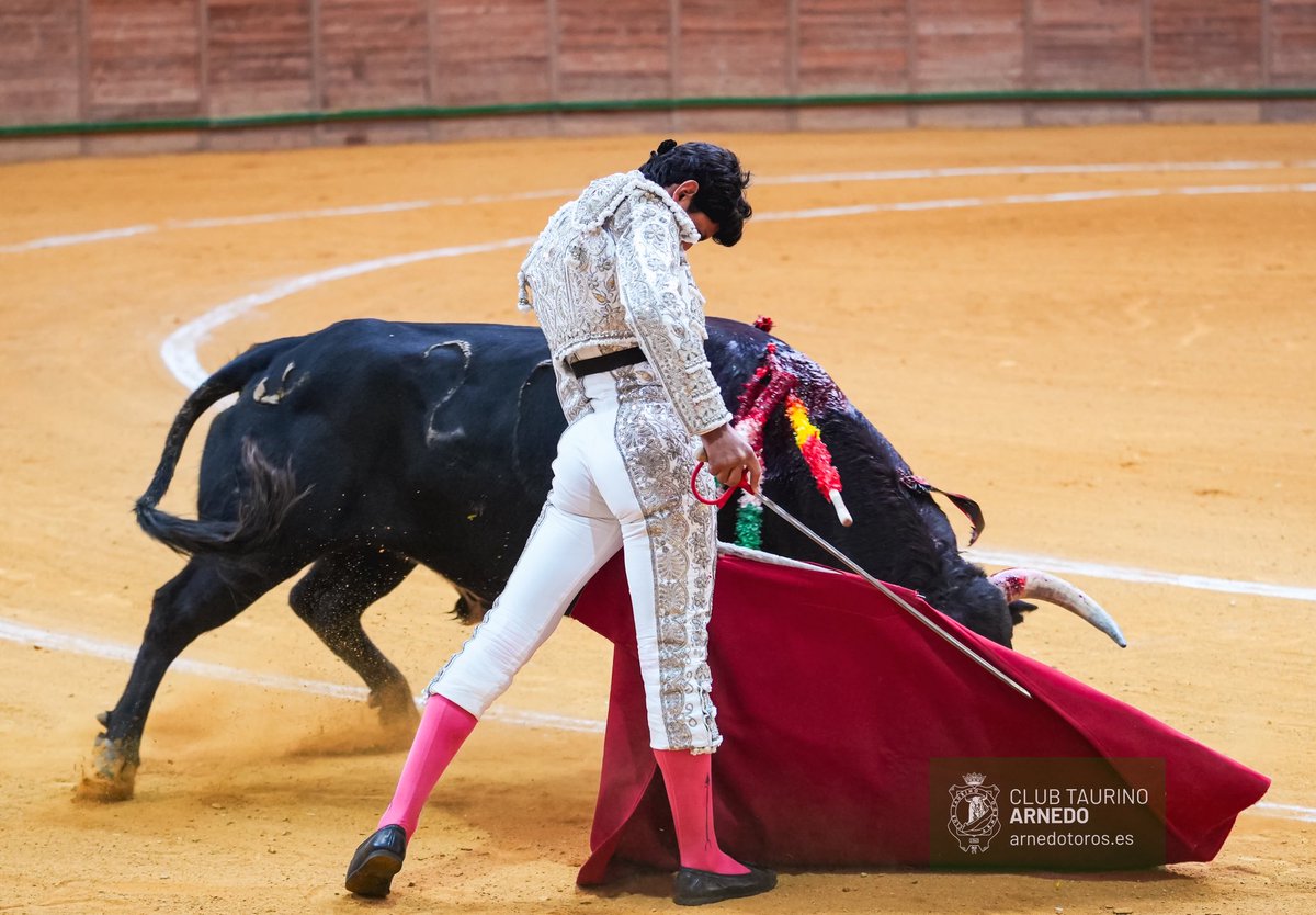 clubtaurino's tweet photo. [ 📝 𝟭º 𝗡𝗢𝗩𝗜𝗟𝗟𝗢 ]

Oreja para Emiliano Osornio en el primer novillo de la tarde

#ZapatoDeOro https://t.co/20wd5C4xb2